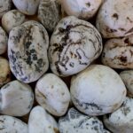 DECOTOP Glacier - Натуральная светлая галька, 3-8 см, 1.5 кг/1 л